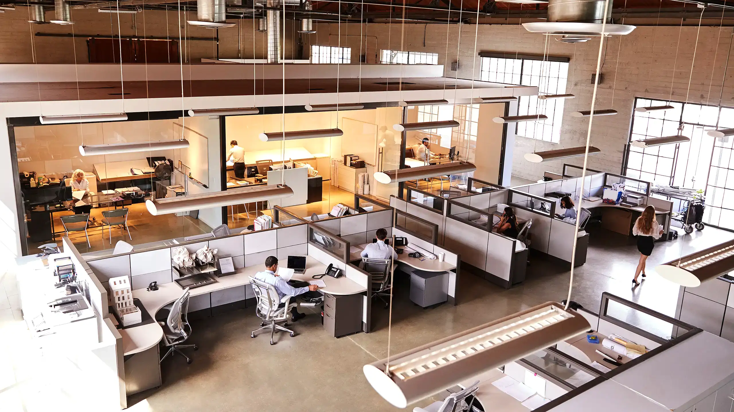 About Golden Ark Reserve